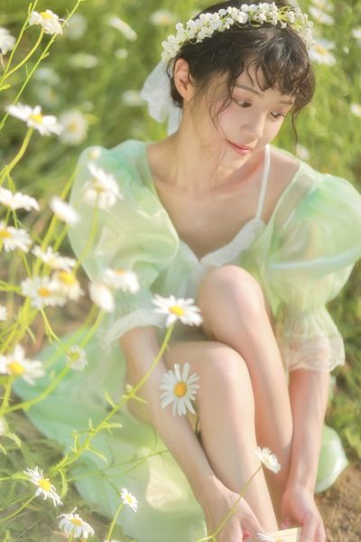 《秦时明月之君临天下小说